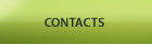 Contacts